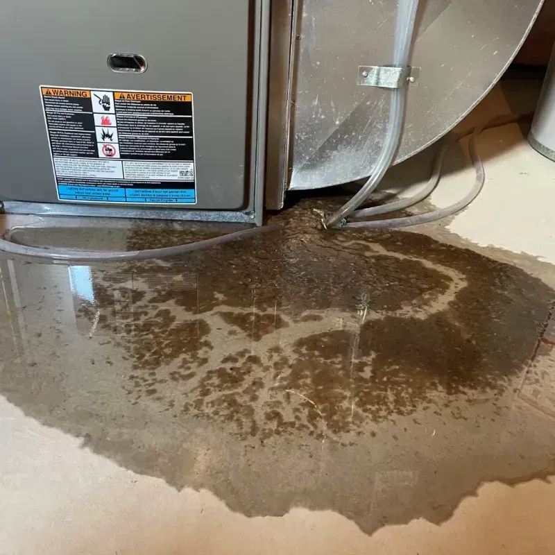 Appliance Leak Cleanup in Lincoln County, SD